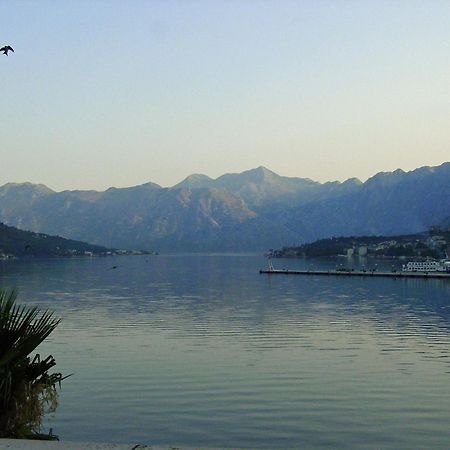 Apartment Mimosa Kotor Zewnętrze zdjęcie