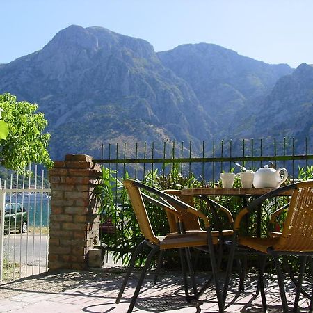 Apartment Mimosa Kotor Pokój zdjęcie