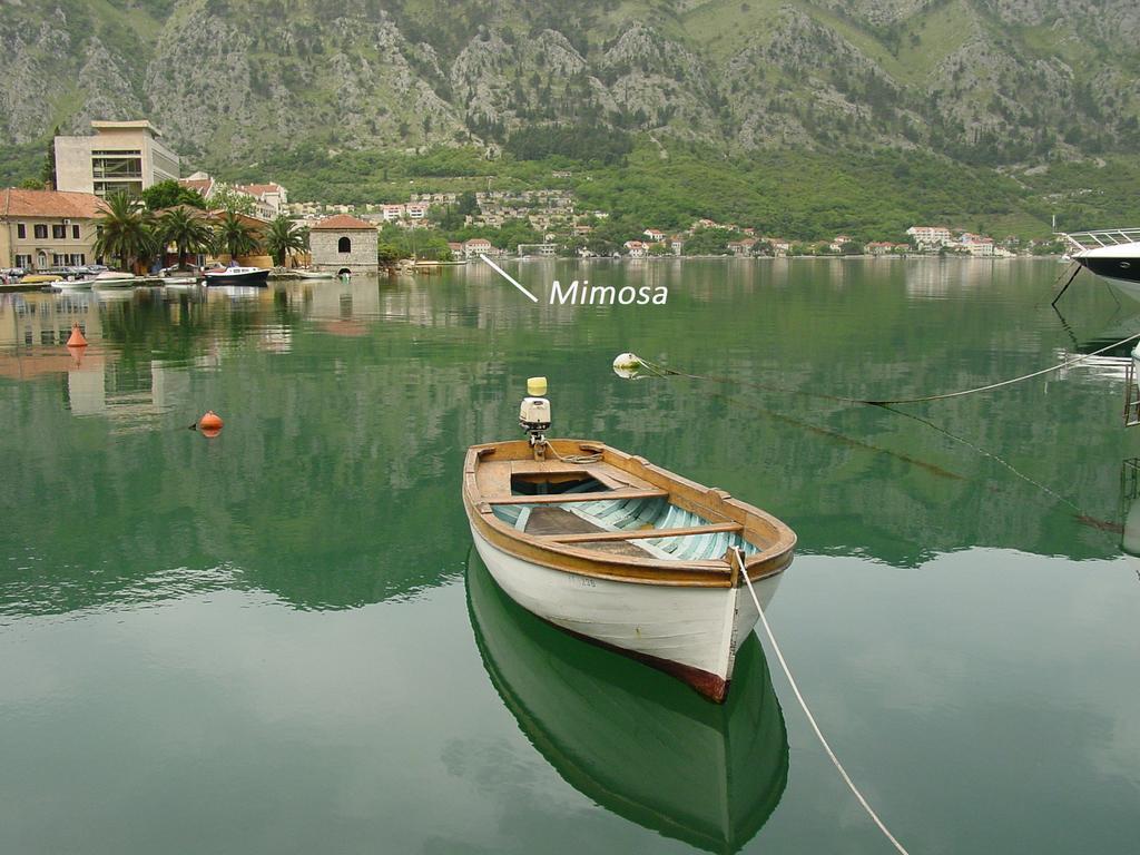 Apartment Mimosa Kotor Pokój zdjęcie