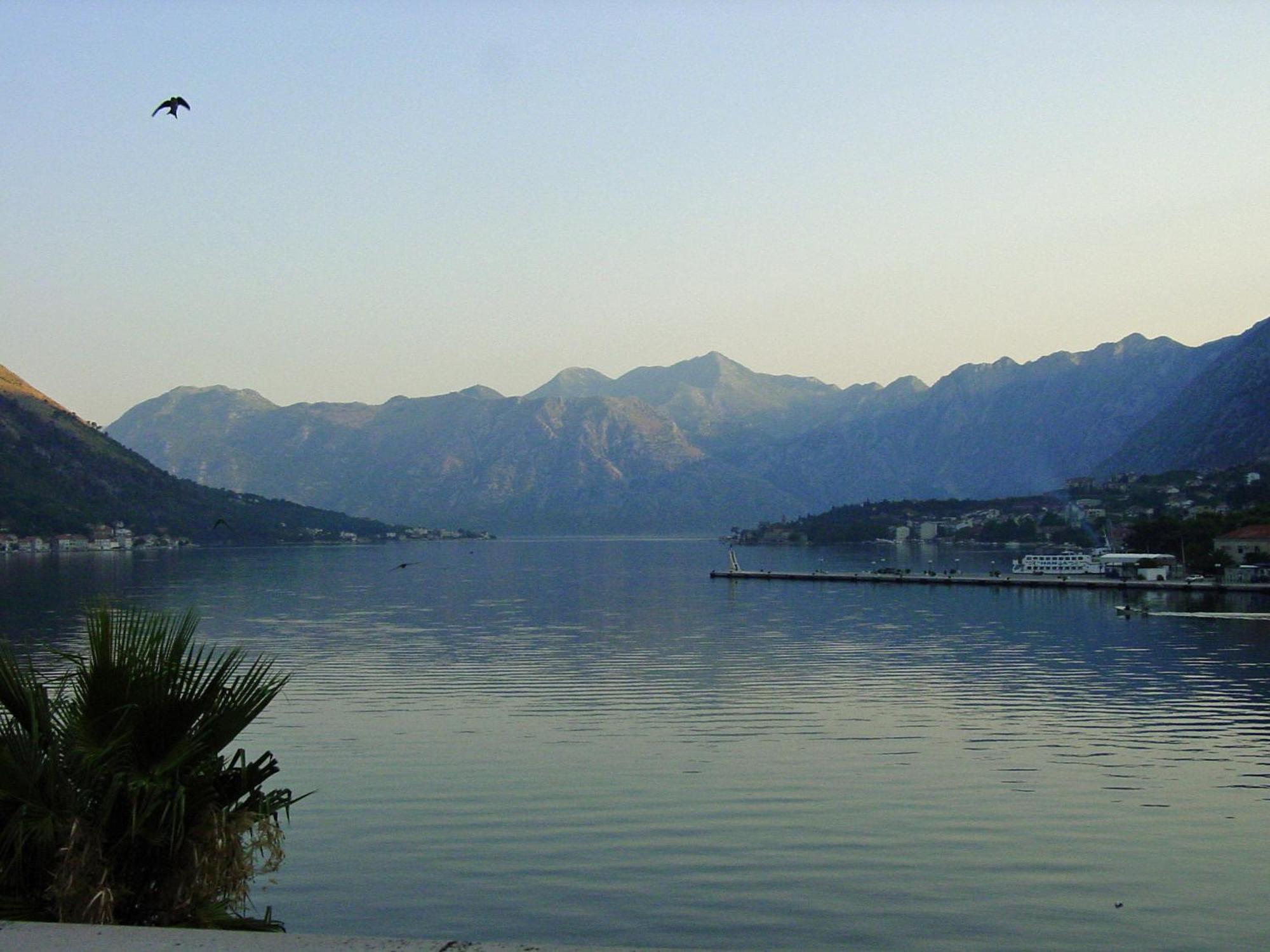 Apartment Mimosa Kotor Zewnętrze zdjęcie