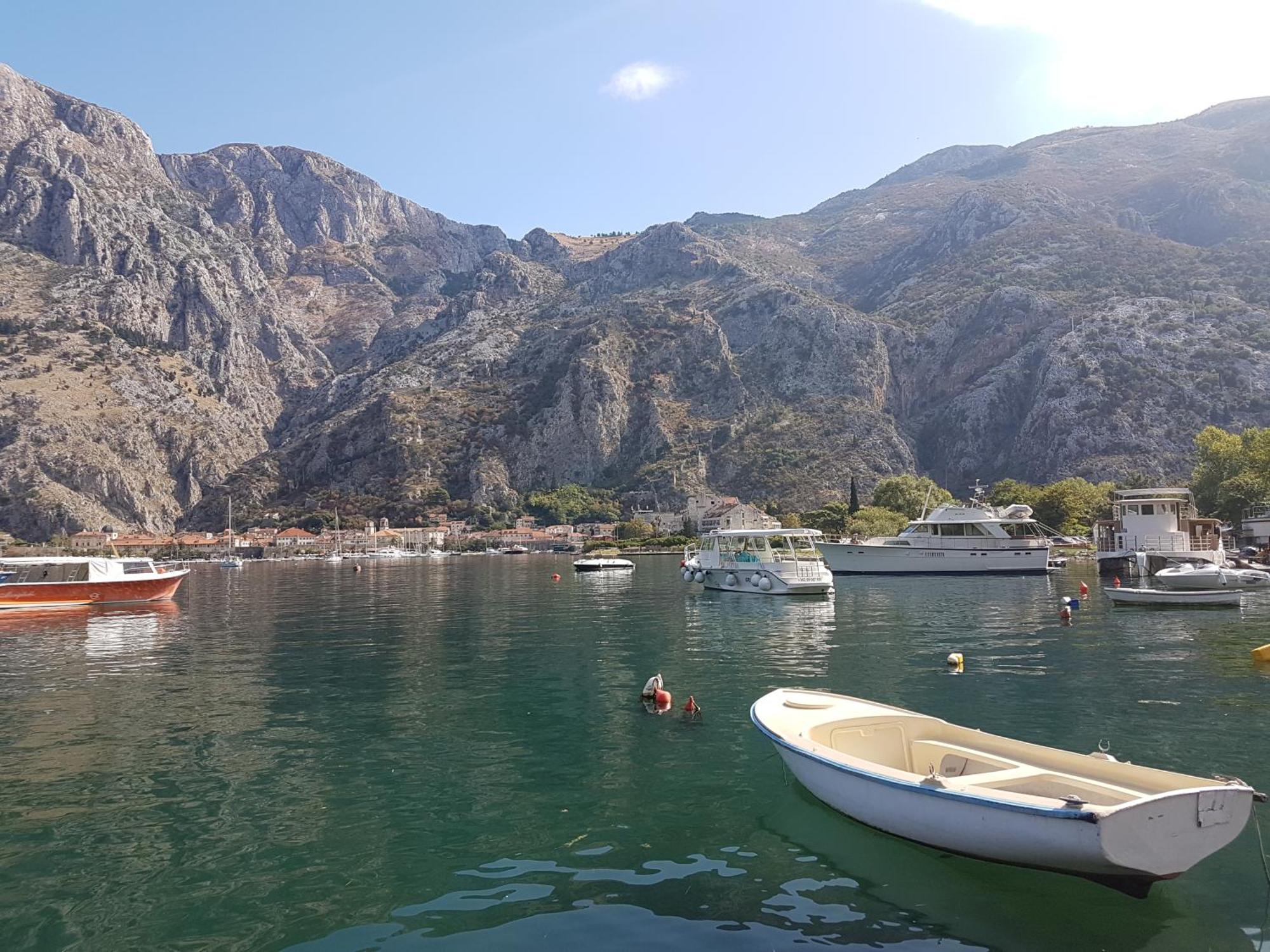 Apartment Mimosa Kotor Zewnętrze zdjęcie