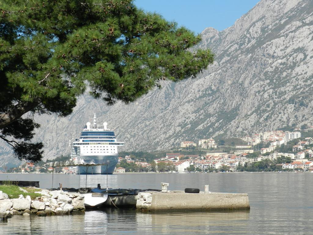 Apartment Mimosa Kotor Pokój zdjęcie