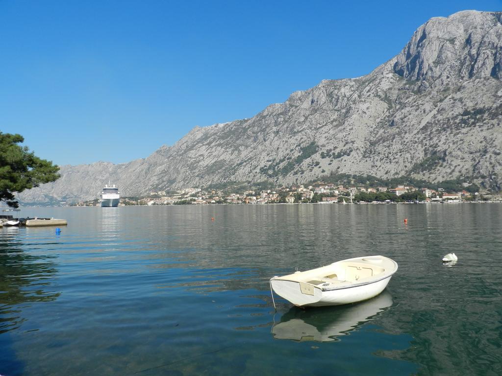Apartment Mimosa Kotor Pokój zdjęcie