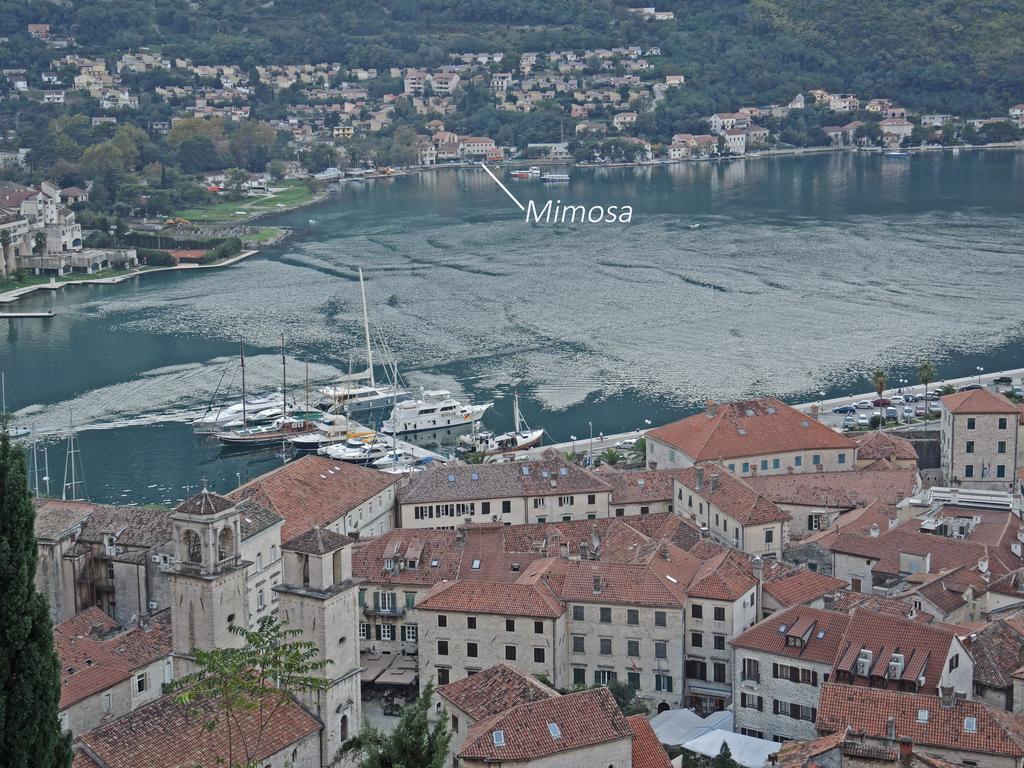 Apartment Mimosa Kotor Pokój zdjęcie