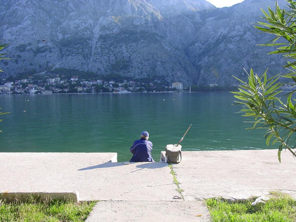 Apartment Mimosa Kotor Pokój zdjęcie