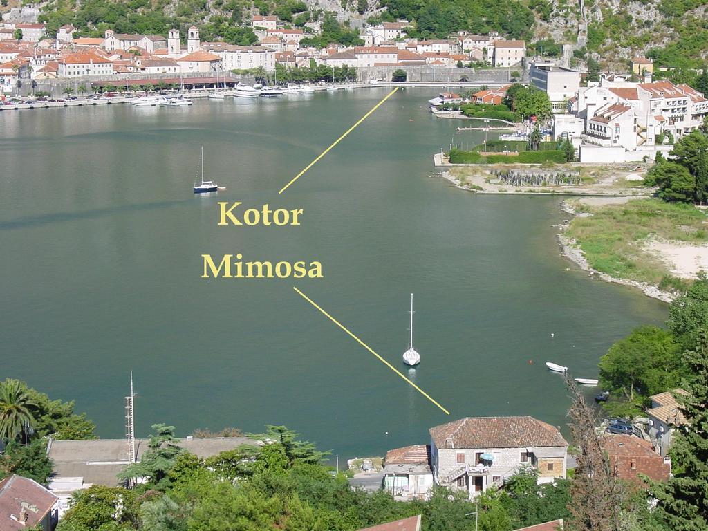 Apartment Mimosa Kotor Pokój zdjęcie
