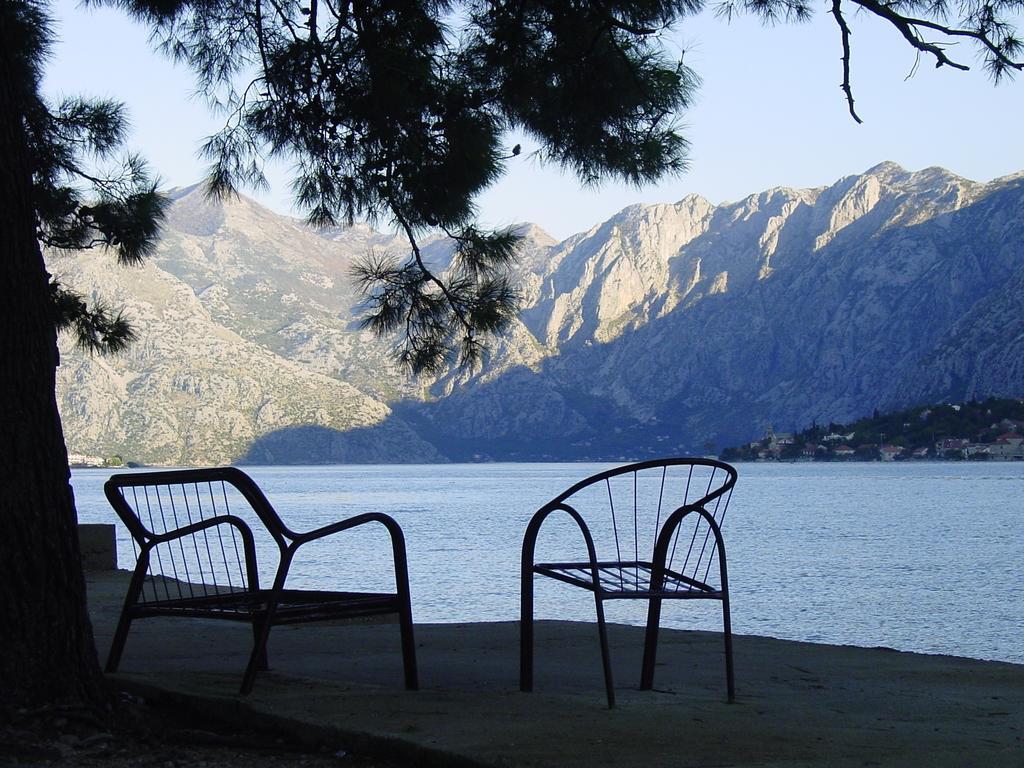Apartment Mimosa Kotor Pokój zdjęcie