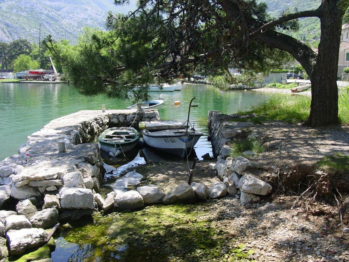 Apartment Mimosa Kotor Zewnętrze zdjęcie