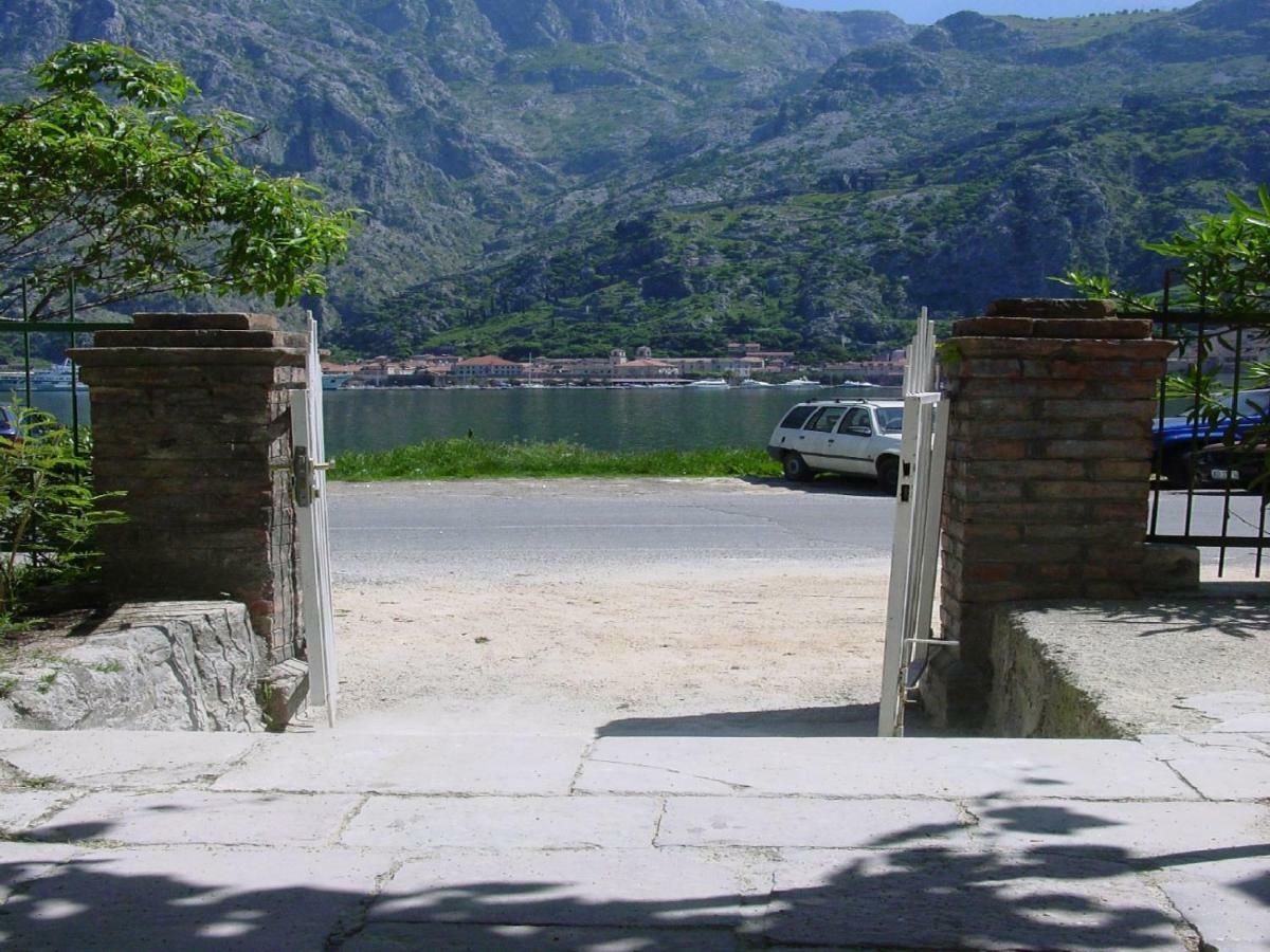 Apartment Mimosa Kotor Zewnętrze zdjęcie